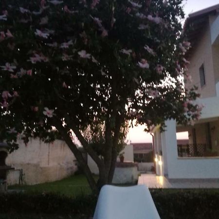 La Casa Delle Farfalle Bed and Breakfast Syracuse Exterior foto