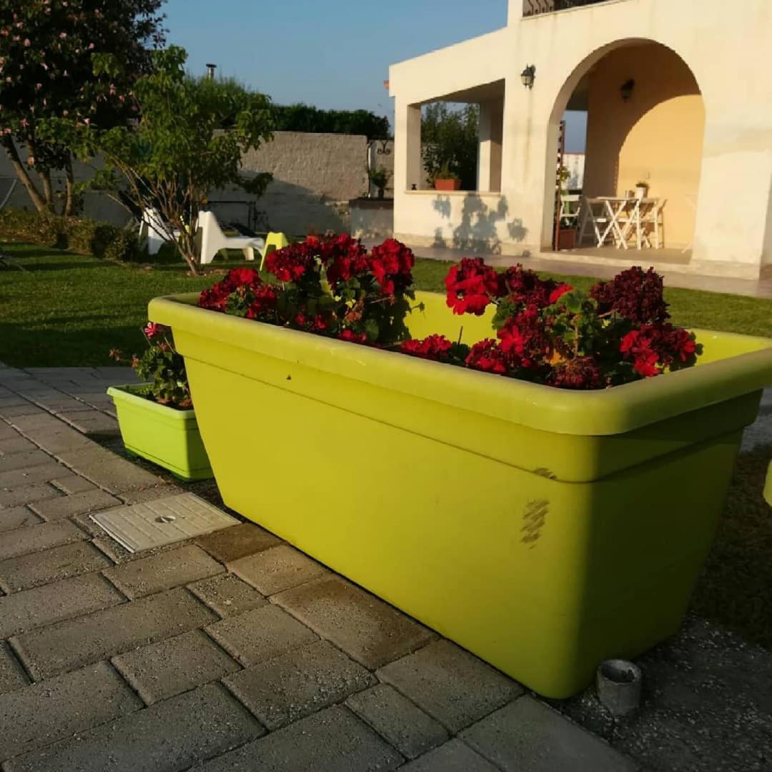 La Casa Delle Farfalle Bed and Breakfast Syracuse Exterior foto